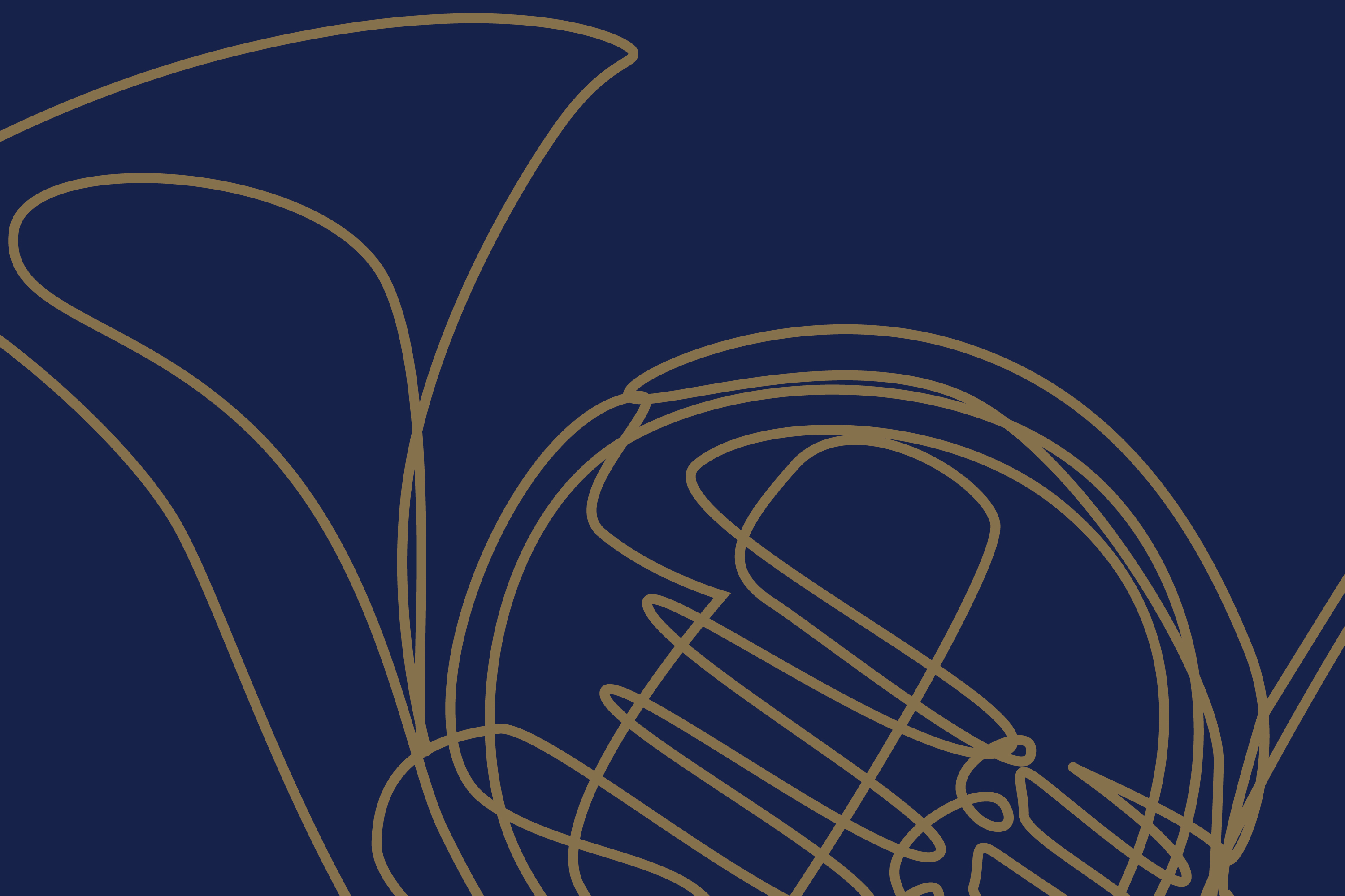 Orchestra Raffle Radiant Raffle | Princeton Symphony Orchestra