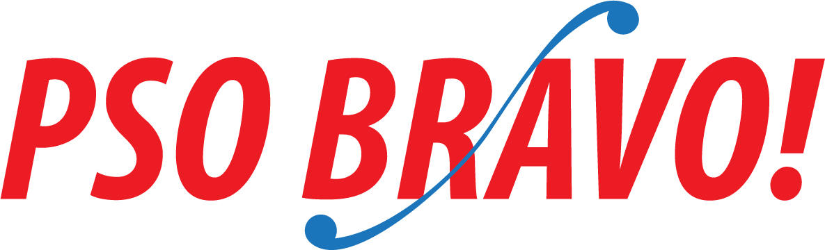 Text: PSO BRAVO!