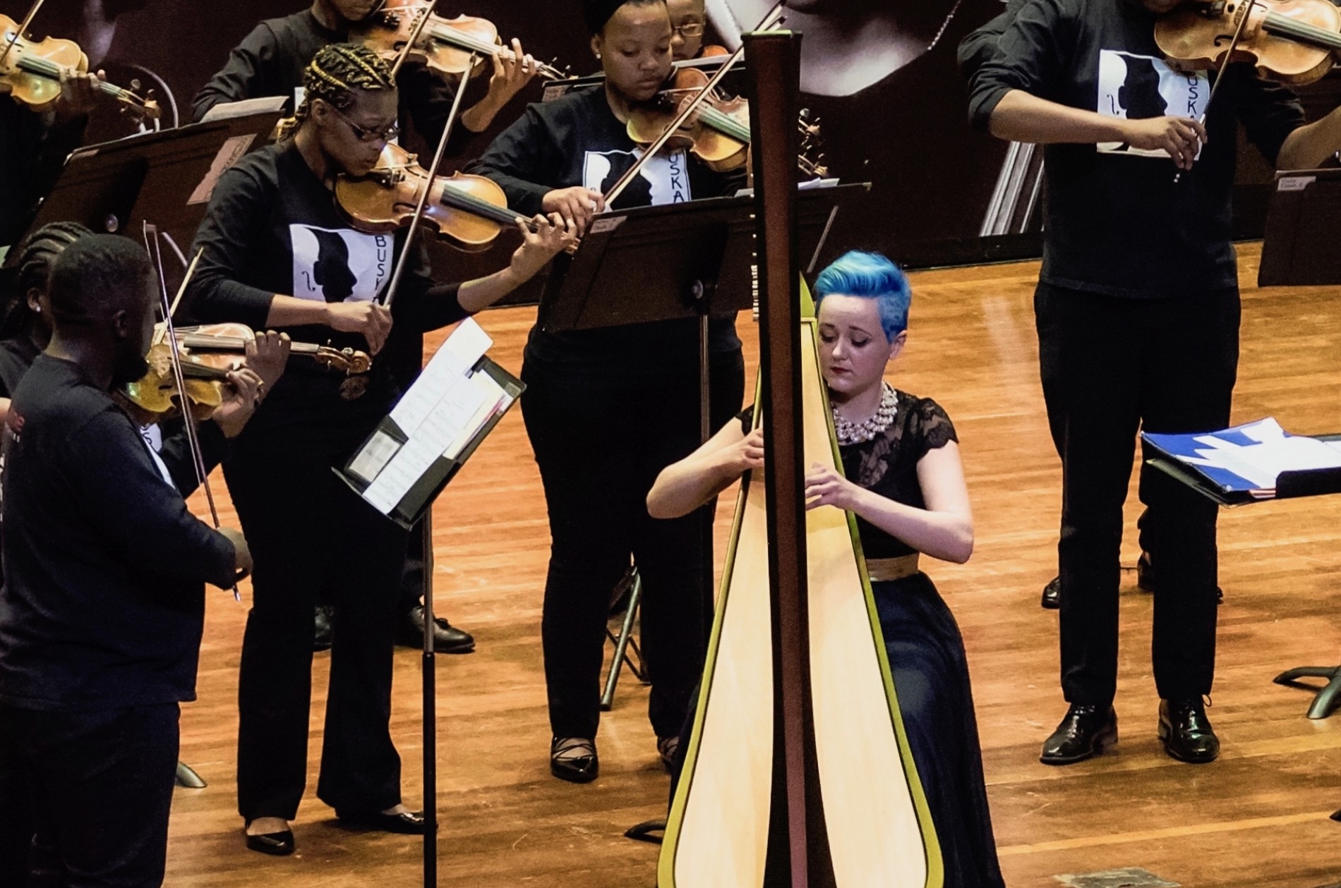 Buskaid guest harpist Jude van der Wat performing with the Ensemble