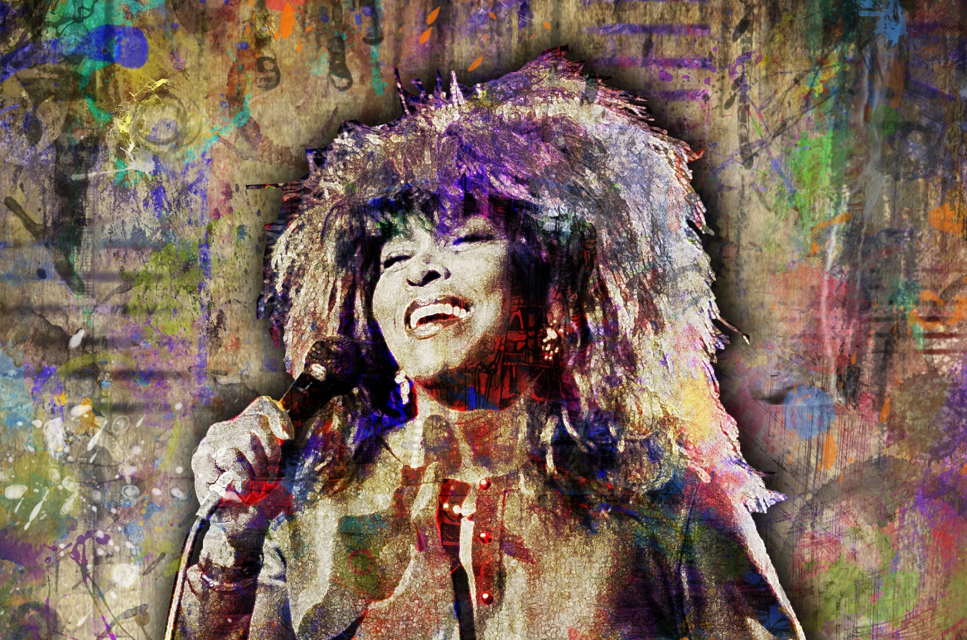 Artwork image of Tina Turner with big hair, singing into a microphone with her eyes shut.