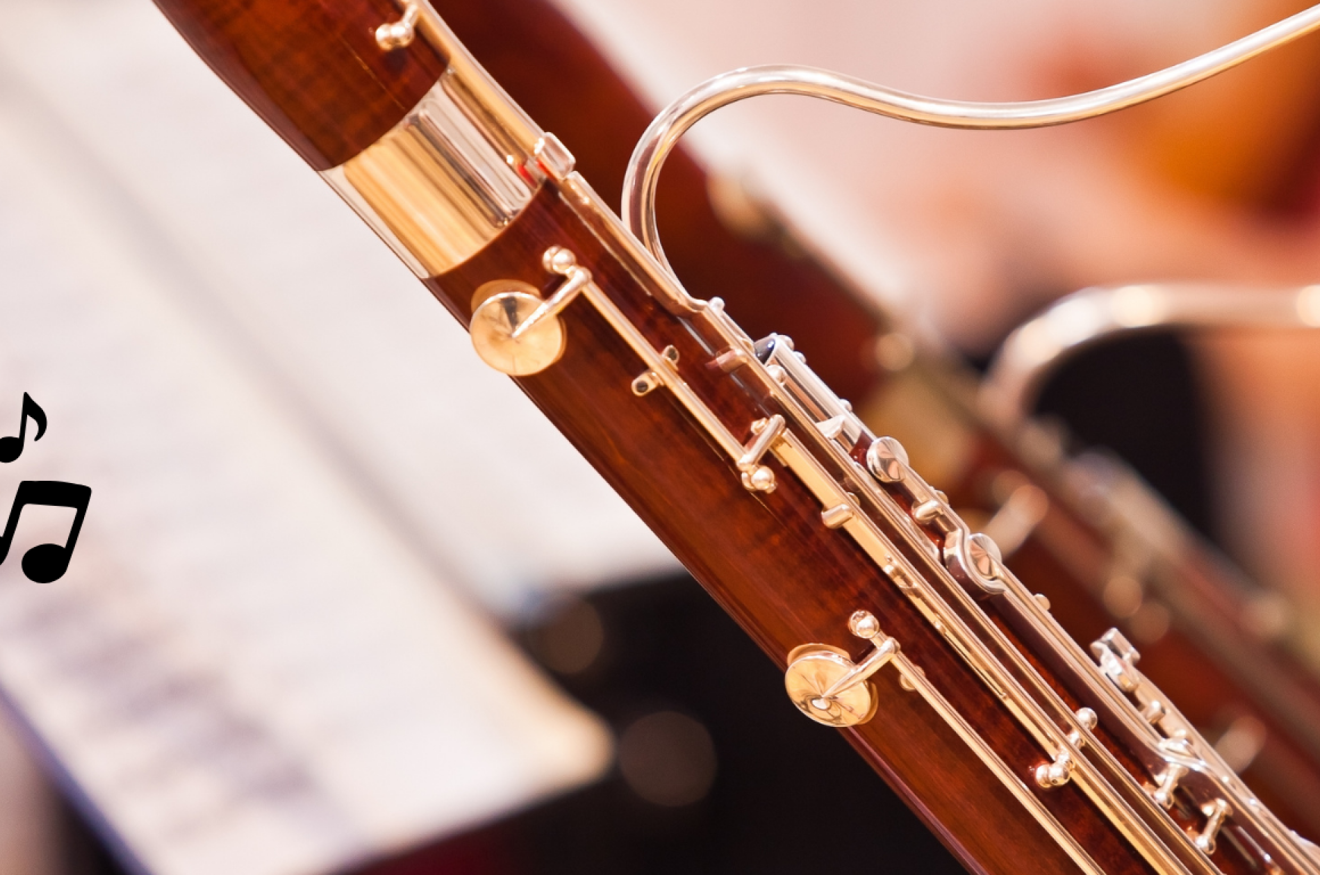 bassoon close up